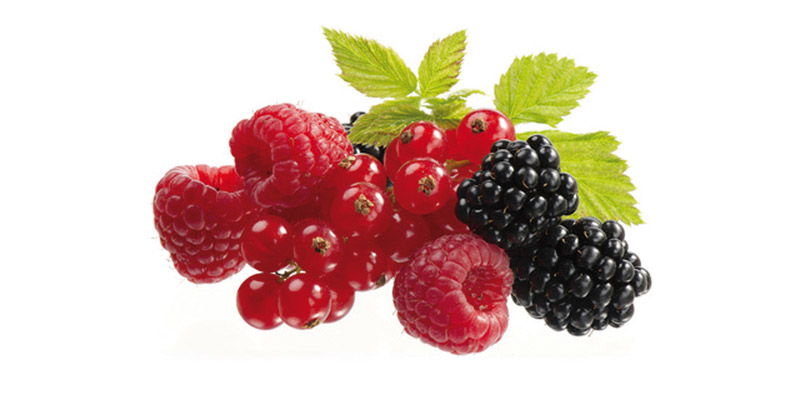 Plantas Medicinales Y Remedios Con Frutas | Share The Knownledge