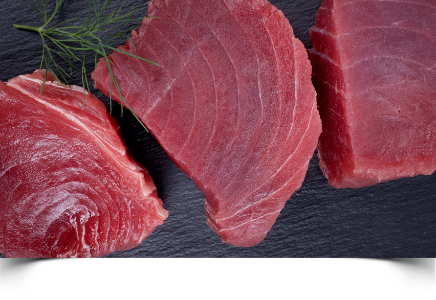 Prepara estas recetas saludables y disfruta del atún fresco