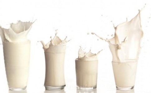 ¿Cuál es la leche más rica en proteínas?