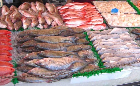 ¿Cuáles son los pescados con más ácidos grasos Omega 3?