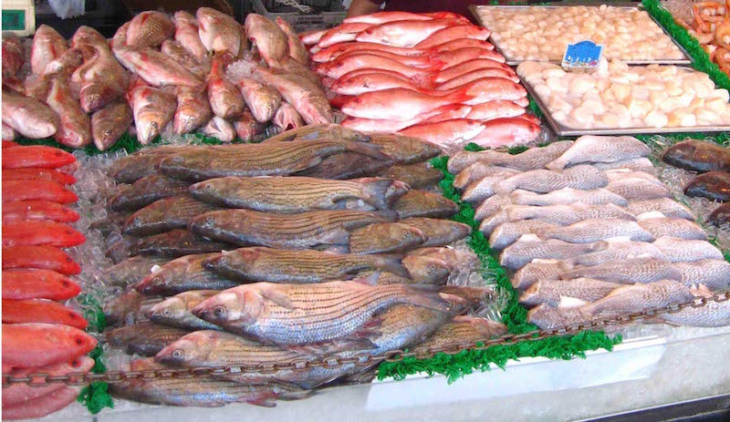 ¿Cuáles son los pescados con más ácidos grasos Omega 3?