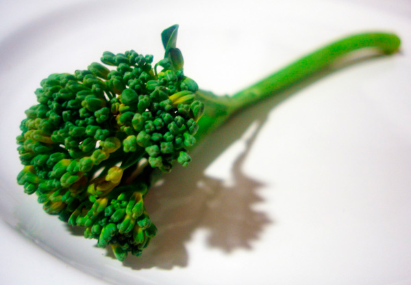 Broccolini beneficios para el organismo