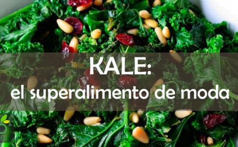 El kale es el superalimento de moda
