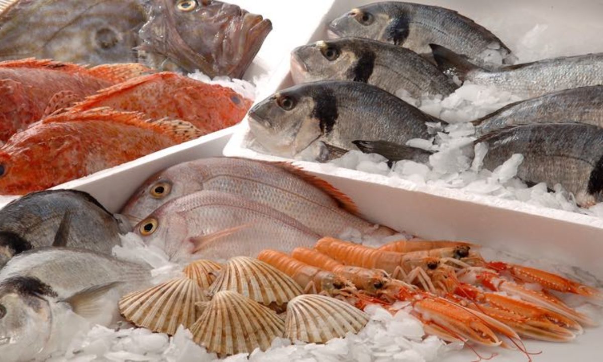 Qué pescado tiene MENOS PROTEÍNAS? | BioTrendies