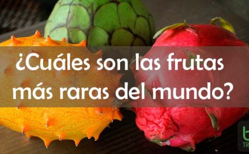frutas raras y sus propiedades