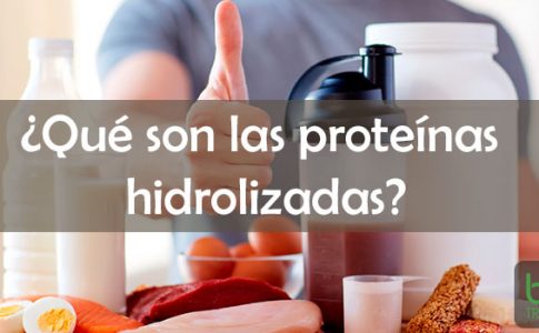 proteinas idrolizadas para que sirve