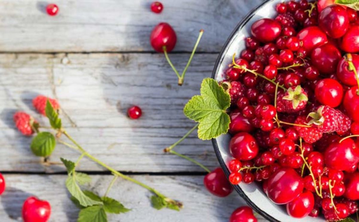 Frutos rojos: beneficios y propiedades - Por qué incluirás los frutos rojos  en tu dieta