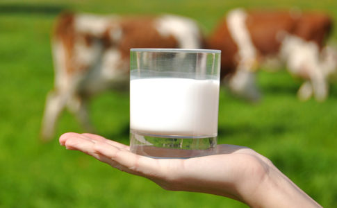 leche de vaca buena o mala