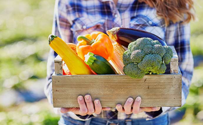 Cómo saber los beneficios de las verduras según su color